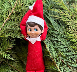 Salisbury Greenhouse-Sherwood Park-Alberta-Decorating with Christmas evergreens