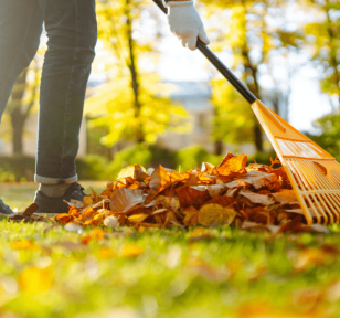 Salisbury Greenhouse-Sherwood Park-Alberta-Fall Lawn Care for a Stronger Spring-Hero
