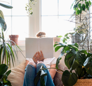 Salisbury Greenhouse-Sherwood Park-Alberta-How Houseplants Improve Mood and Mind