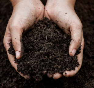 Salisbury Greenhouse-Sherwood Park-Alberta-Improving Your Soil This Fall For Better Results Next Seaso-Hero