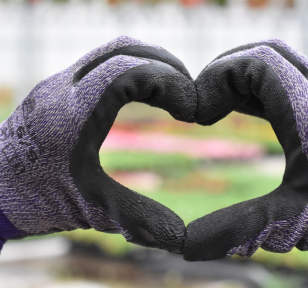 Salisbury Greenhouse-Sherwood Park-Alberta-Long-Lasting Valentines Plant Gifts-hand heart