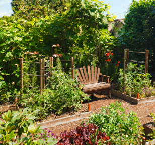 Salisbury Greenhouse-Sherwood Park-Alberta-Mid-Summer Pest Check-What to Look For-Hero