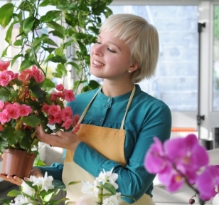 Salisbury Greenhouse-Sherwood Park-Alberta-Preparing Tender Plants for Life Indoors-Hero