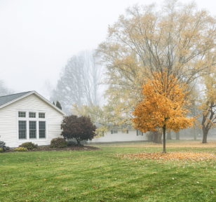 Salisbury Greenhouse Sherwood Park -Alberta Protecting Young Trees and Shrubs Before Winter Hero