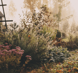 Salisbury Greenhouse Sherwood Park Alberta Rethinking Fall Garden Cleanup Hero