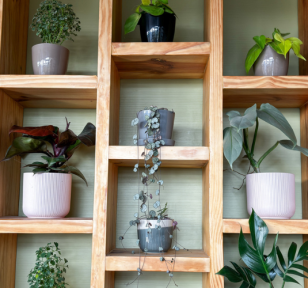 Salisbury Greenhouse - Sherwood Park-Alberta-Vertical houseplant wall ideas