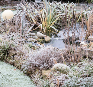 Salisbury Greenhouse-Sherwood Park-Alberta-Water Features in Winter