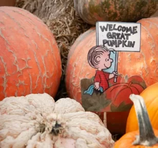 charlie-brown-pumpkin-display-salisbury-greenhouse-st-albert-sherwood-park