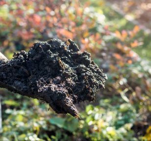 Salisbury Greenhouse | Sherwood Park, St. Albert | Practical and Eco-Friendly Ways to Manage Garden Waste in Alberta | Soil