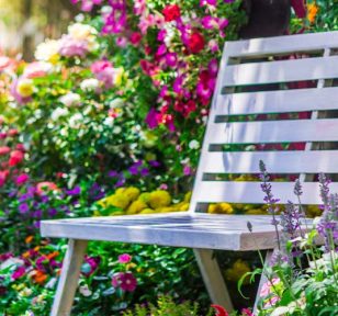 salisbury greenhouse-colourful flowers peaceful garden spot