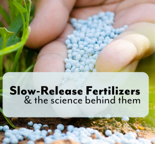 Slow Release Fertilizer blog feature image | Salisbury Greenhouse - St. Albert, Sherwood Park