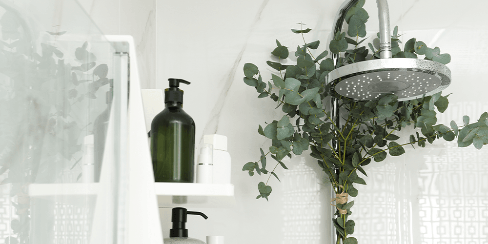 -eucalyptus in shower Salisbury floral studio