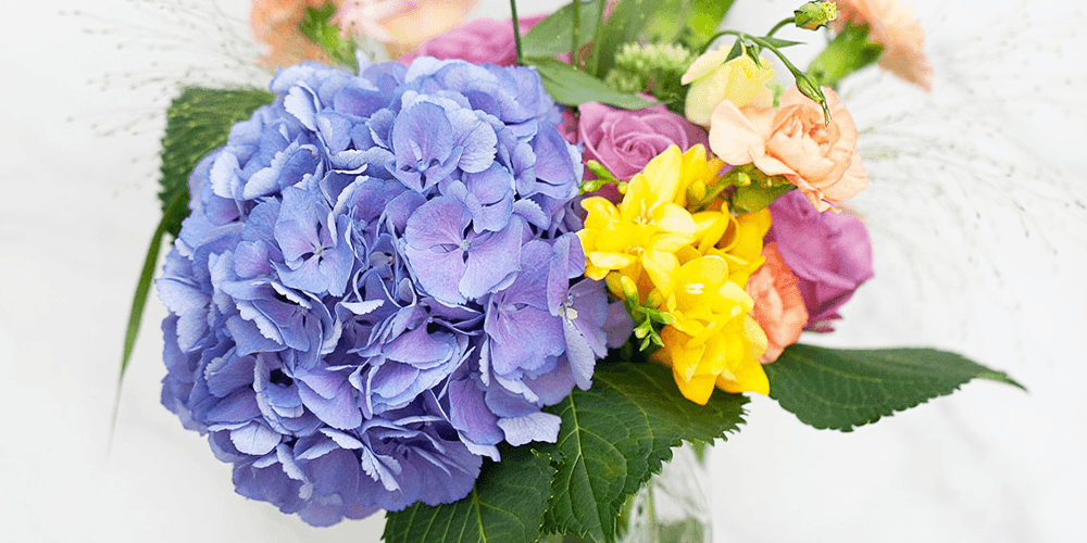 salisbury at enjoy floral studio bouquet of fresh flowers