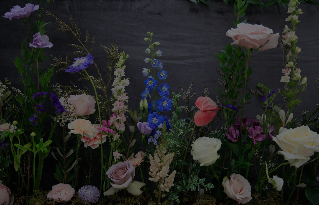 floralsspringgreenhousestalbertsherwoodpark Salisbury Greenhouse