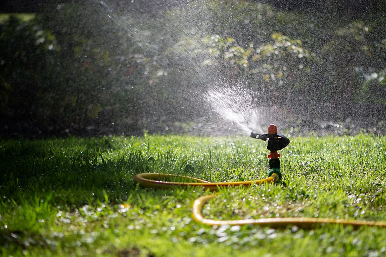 Sprinkler watering lawn