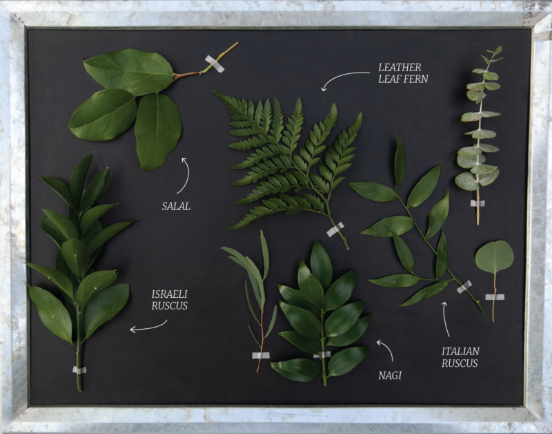 Bulk Greenery Salisbury Greenhouse