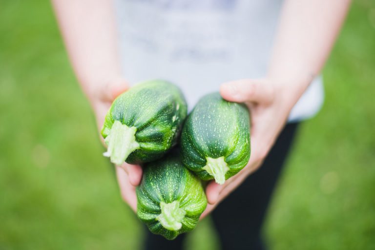 Gardening Vegetables