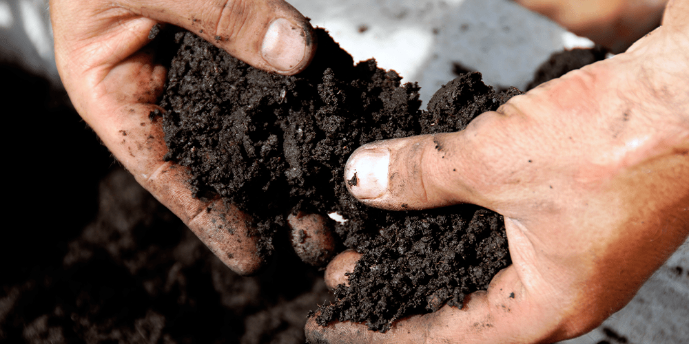healthy soil in garden