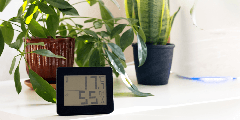 -hygrometer for plants salisbury greennhouse