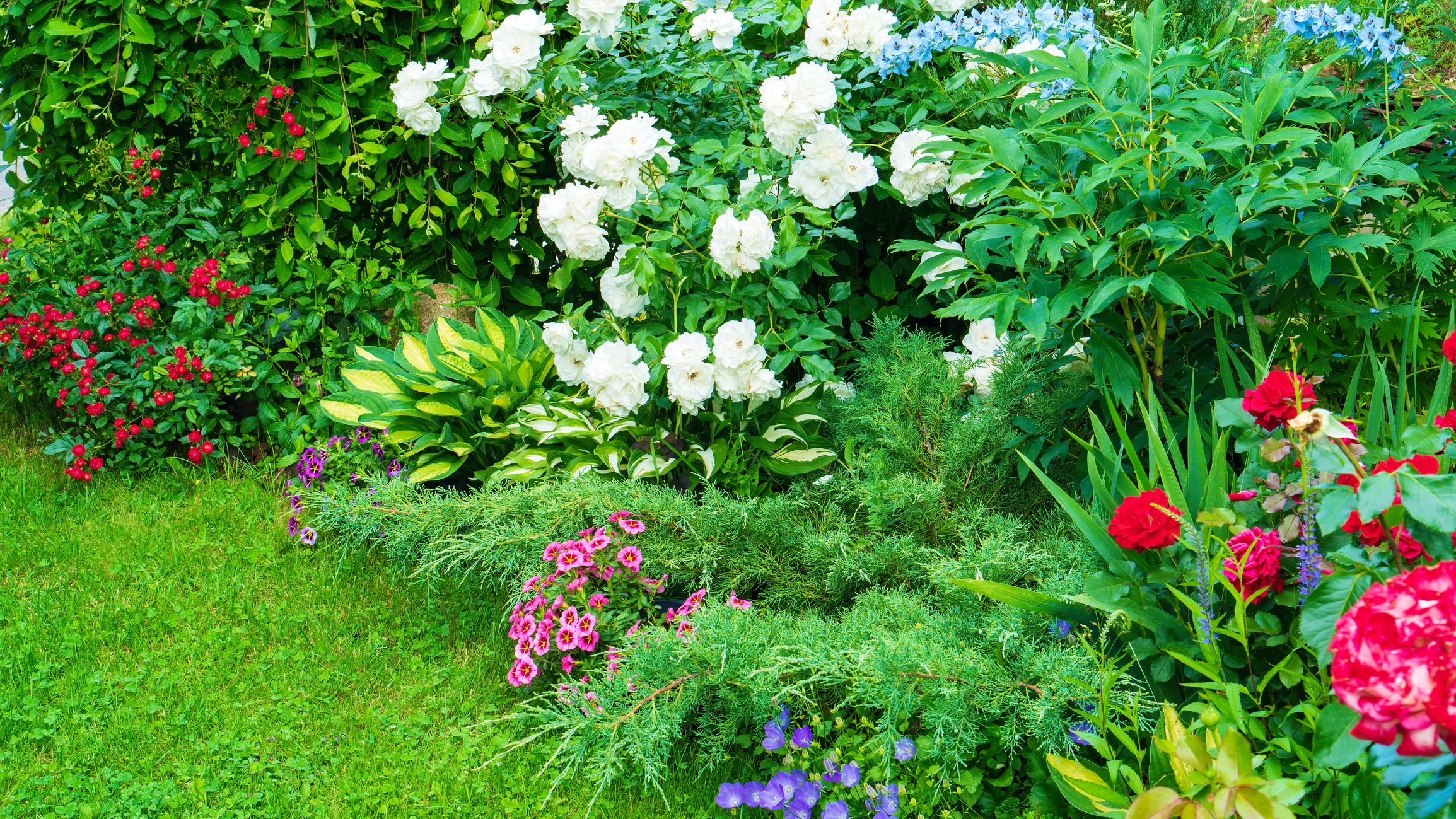 Salisbury Greenhouse-Sherwood Park-Alberta- Easy Ways to Finish Your Garden Beds-