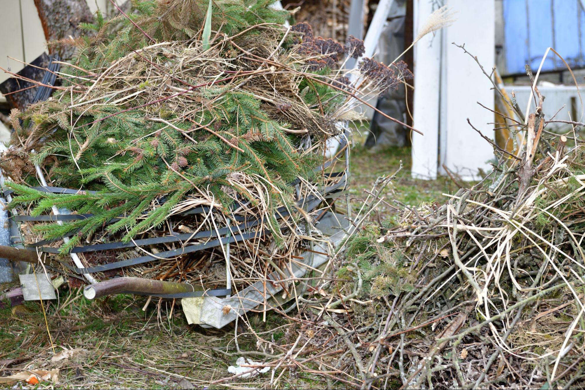 Salisbury Greenhouse | Sherwood Park, St. Albert | Practical and Eco-Friendly Ways to Manage Garden Waste in Alberta | Organic material for composting 