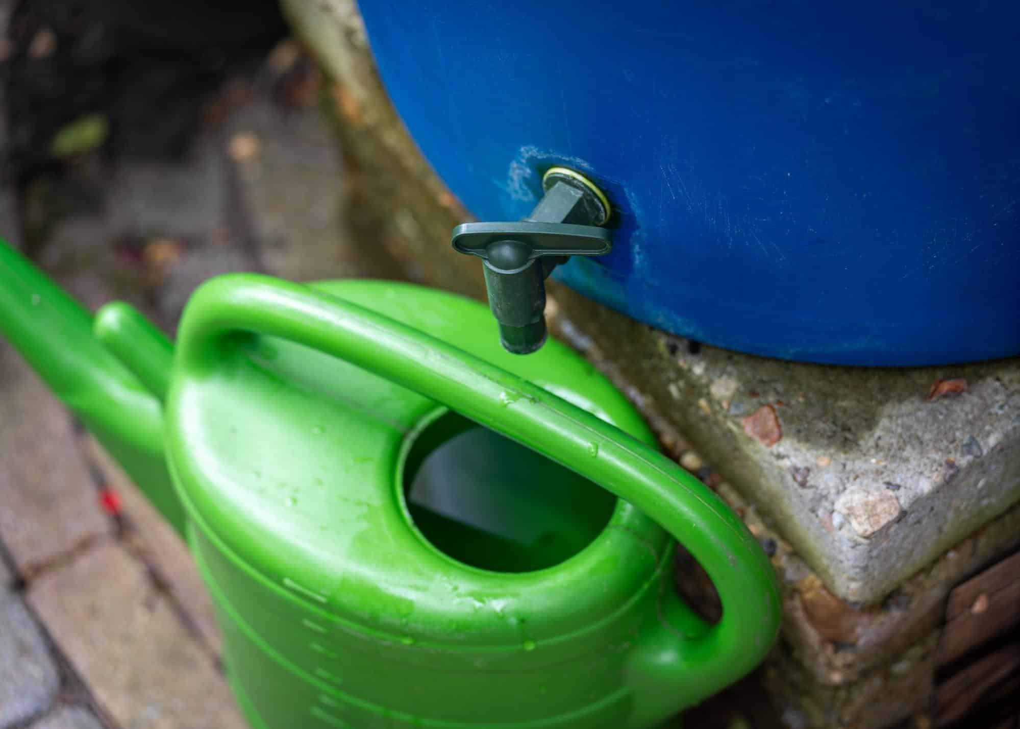 Salisbury Greenhouse | Sherwood Park, St. Albert | Budget-Friendly Garden Renovation in Alberta: DIY, Upcycling & Hardy Plants | Water-Wise Practices