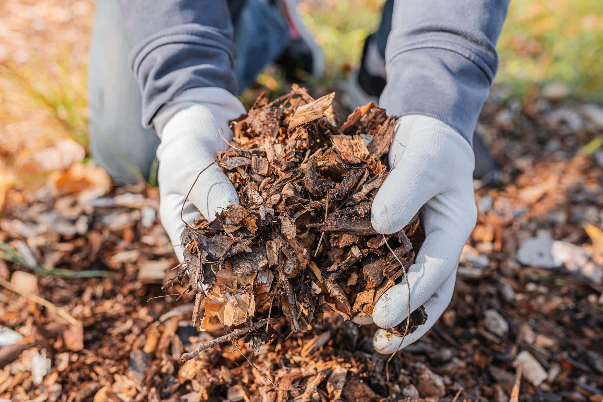 Salisbury Greenhouse | Sherwood Park, St. Albert | Practical and Eco-Friendly Ways to Manage Garden Waste in Alberta | Leaf Mould