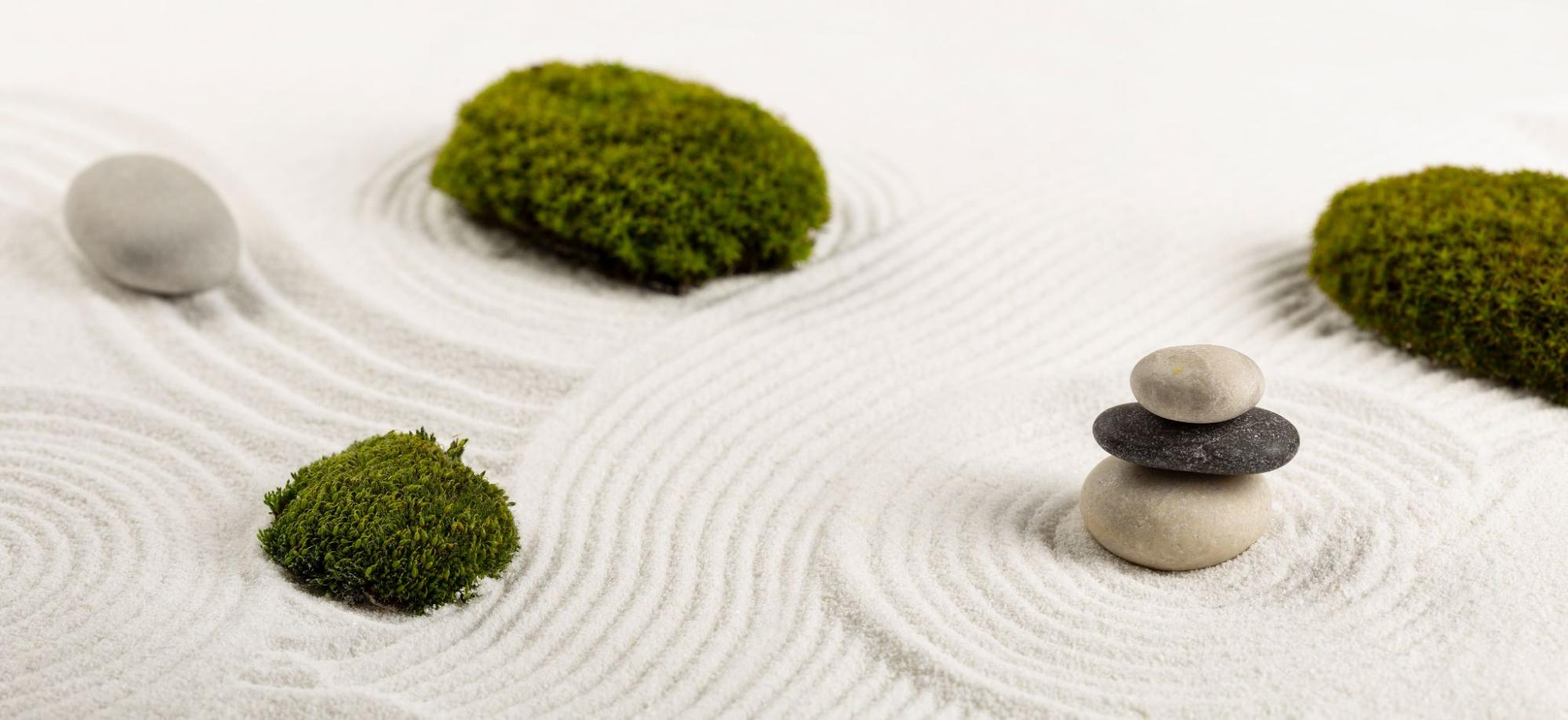 Salisbury Greenhouse | Sherwood Park, St. Albert | Zen Garden Ideas | Zen Garden (karesansui)