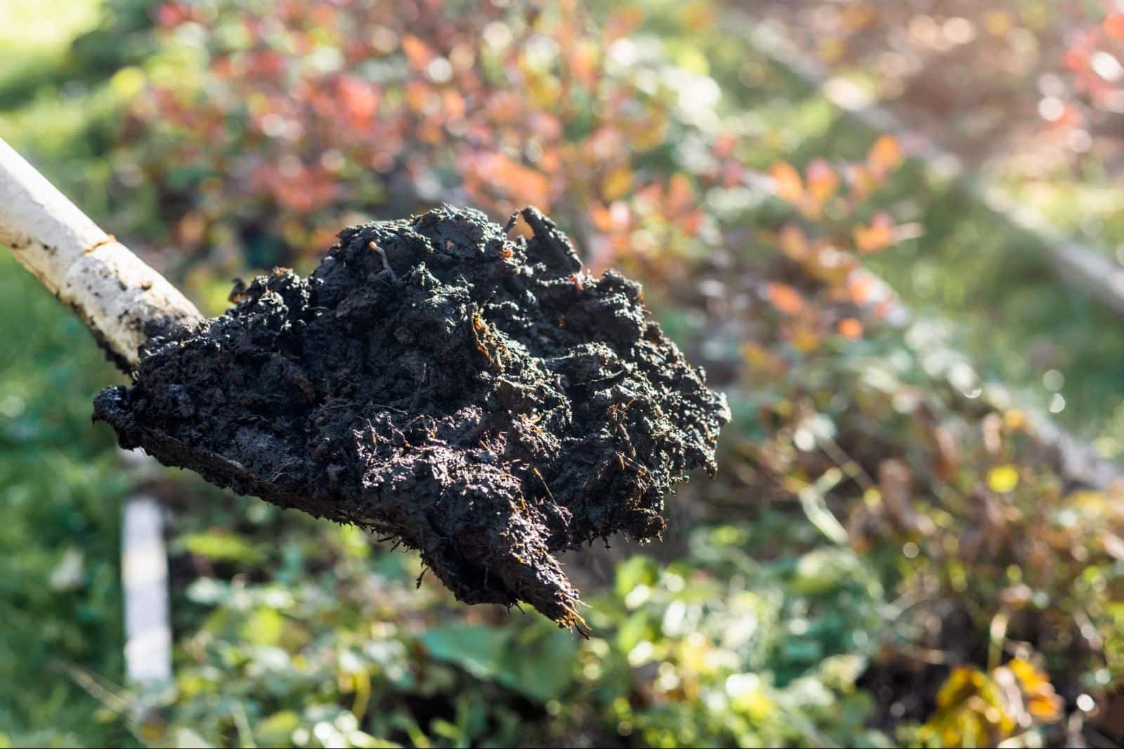 Salisbury Greenhouse | Sherwood Park, St. Albert | Practical and Eco-Friendly Ways to Manage Garden Waste in Alberta | Soil