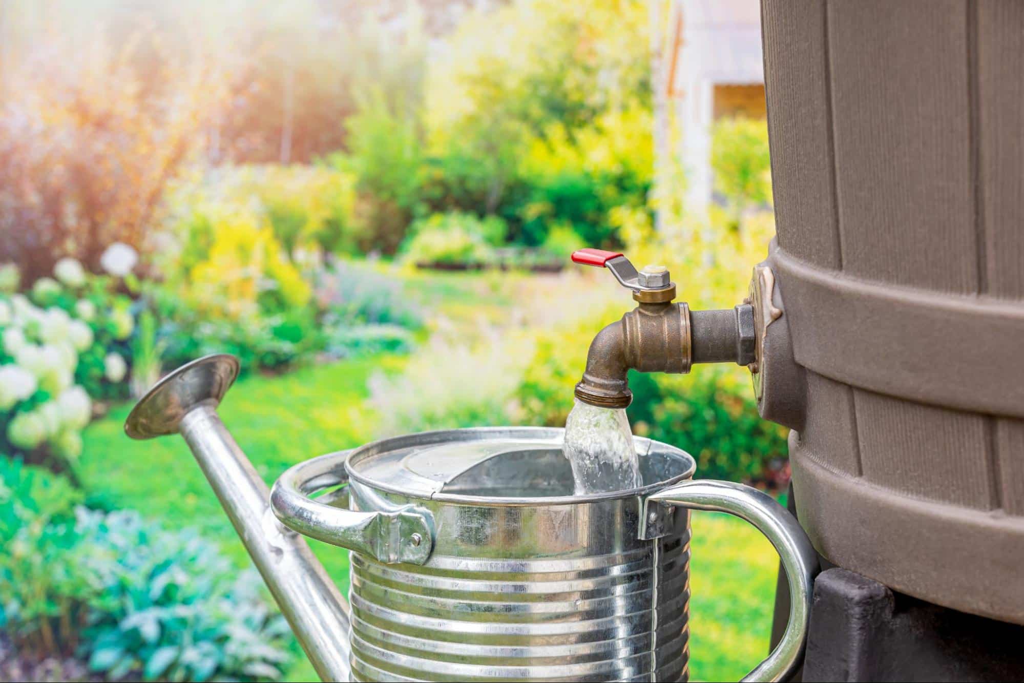 Salisbury Greenhouse | Sherwood Park, St. Albert | Tips and Tricks to Make Your Garden More Eco-Friendly | Rain Barrel 
