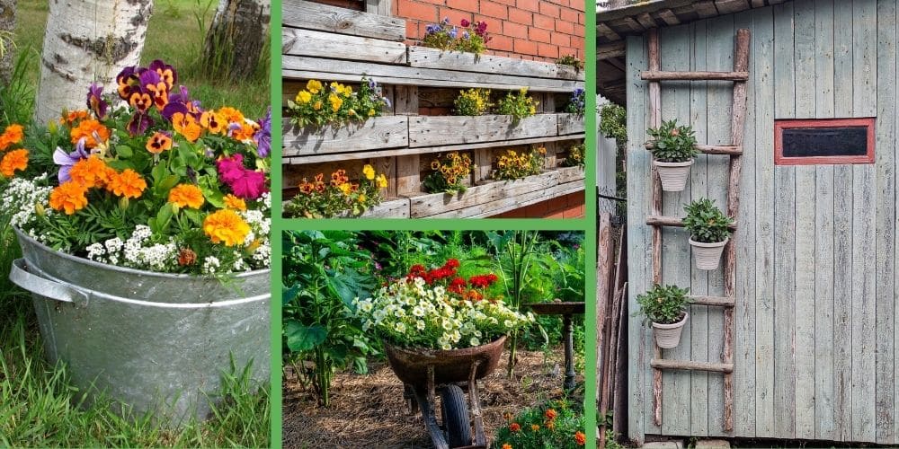 Salisbury Greenhouse | Sherwood Park, St. Albert | Budget-Friendly Garden Renovation in Alberta: DIY, Upcycling & Hardy Plants | Pallet Planters