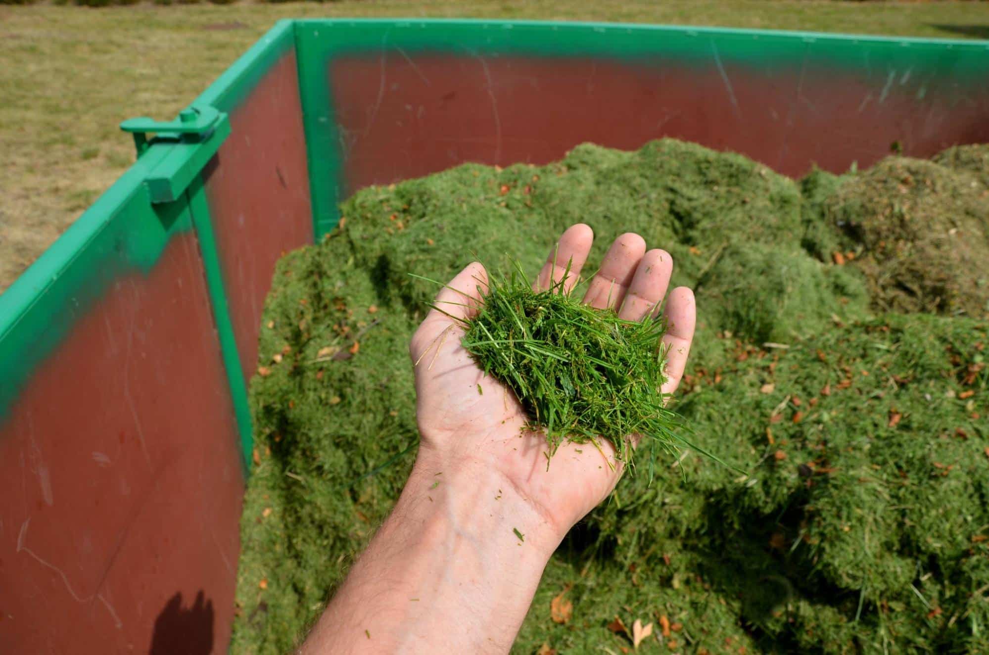 Salisbury Greenhouse | Sherwood Park, St. Albert | Practical and Eco-Friendly Ways to Manage Garden Waste in Alberta | Collecting grass clippings in the summer
