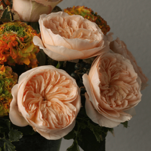 juliet rose salisbury floral studio