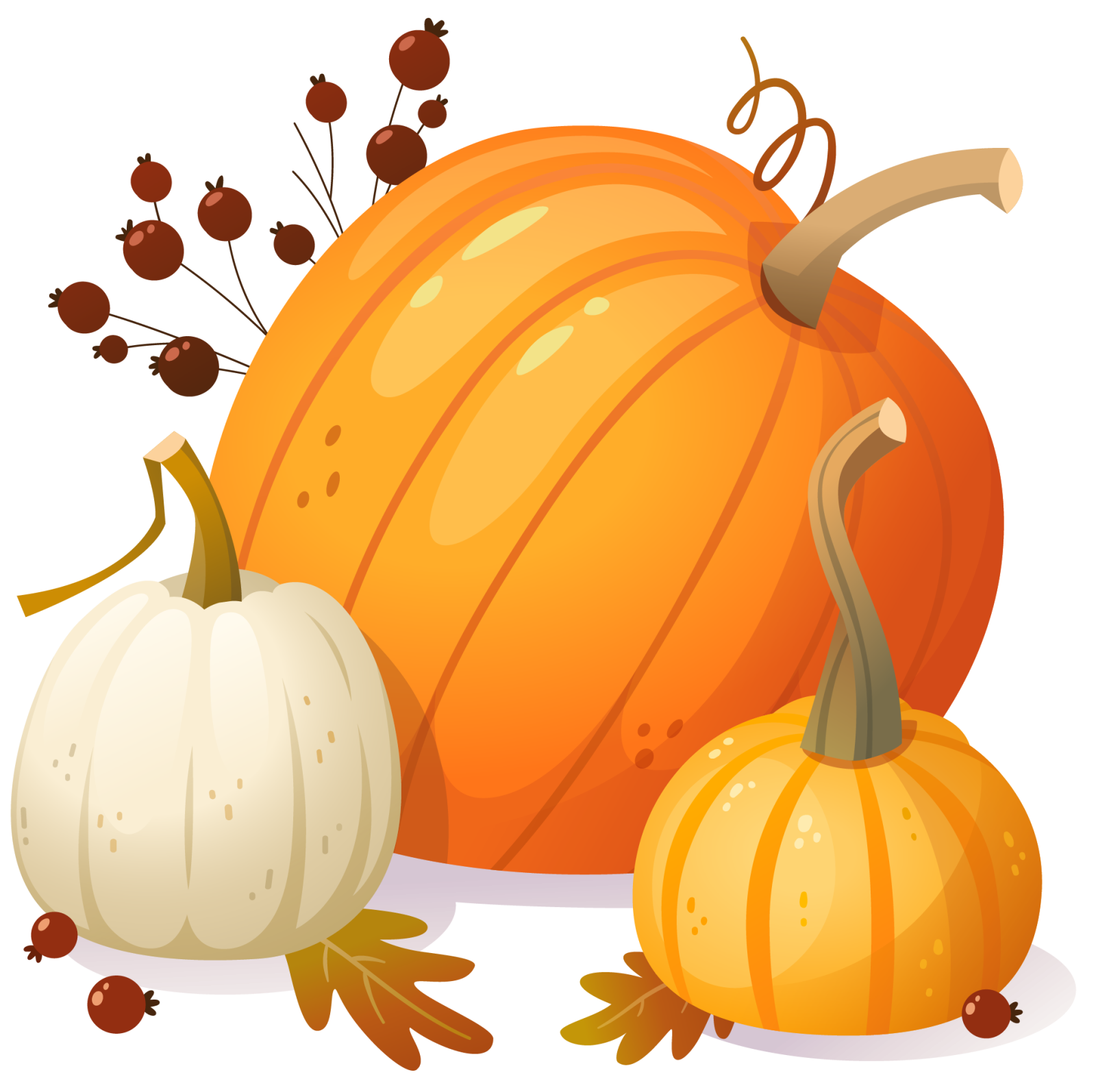 Pumpkin Patch graphic | 2023 Harvest Autumn Festival | Salisbury Greenhouse - St. Albert, Sherwood Park
