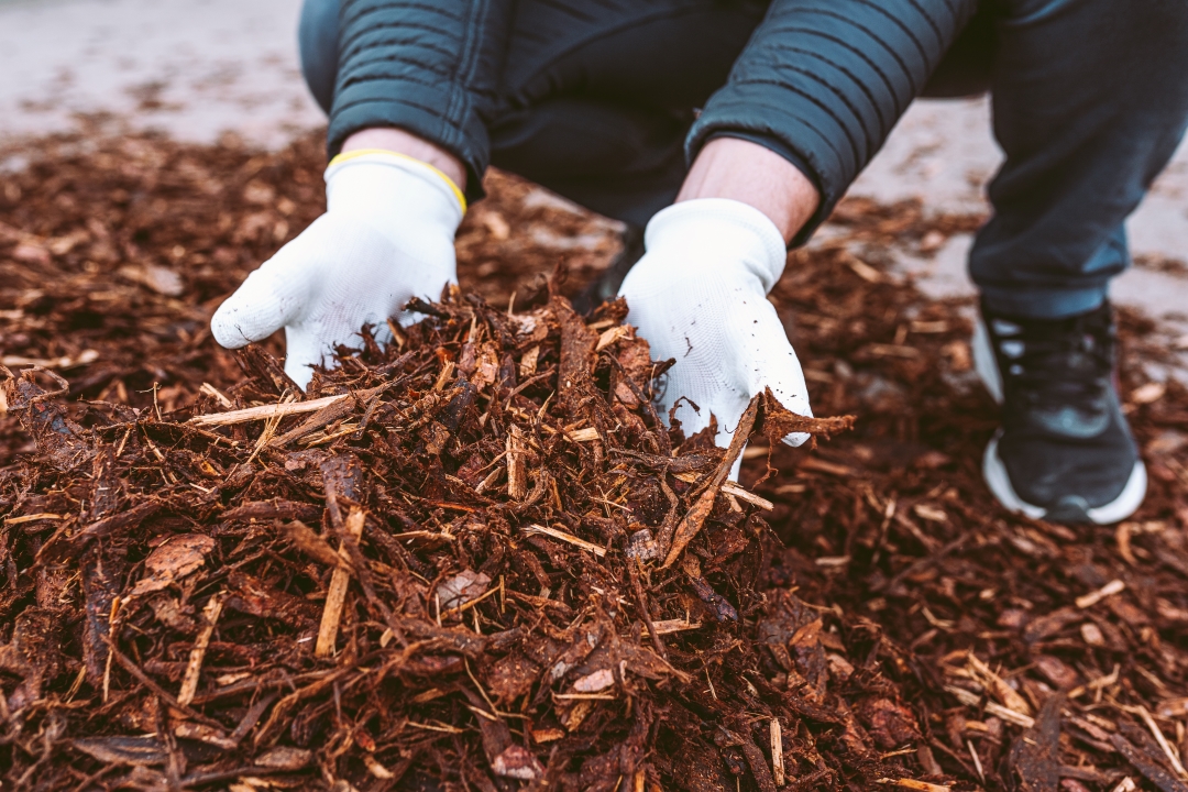 Person wearing gloves handling mulch