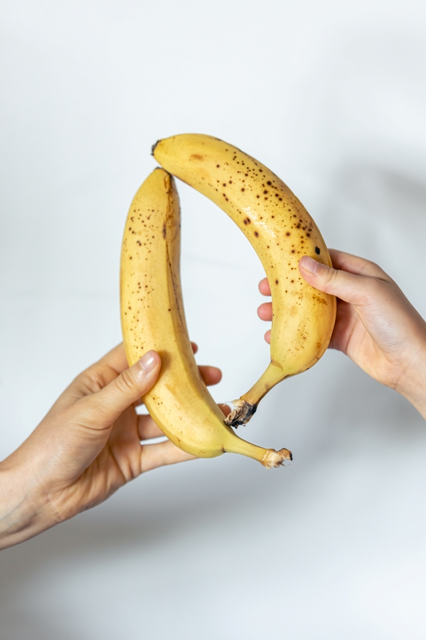Ripe bananas in female hands | Salisbury Greenhouse - Sherwood Park, St. Albert