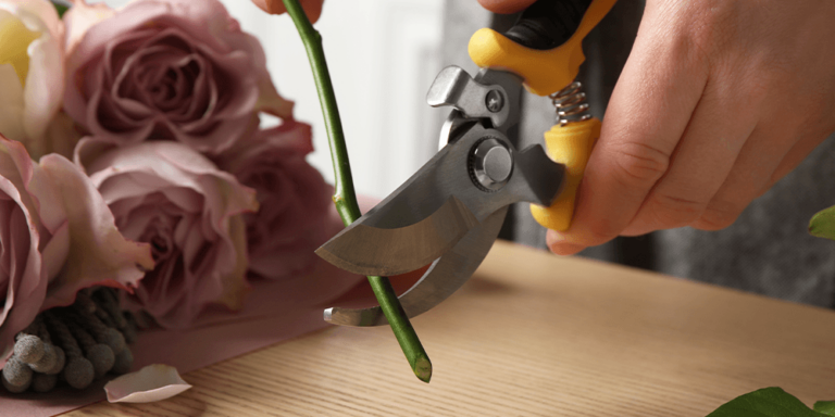 How to Cut Your Flower Stems Correctly - Salisbury Greenhouse - Blog