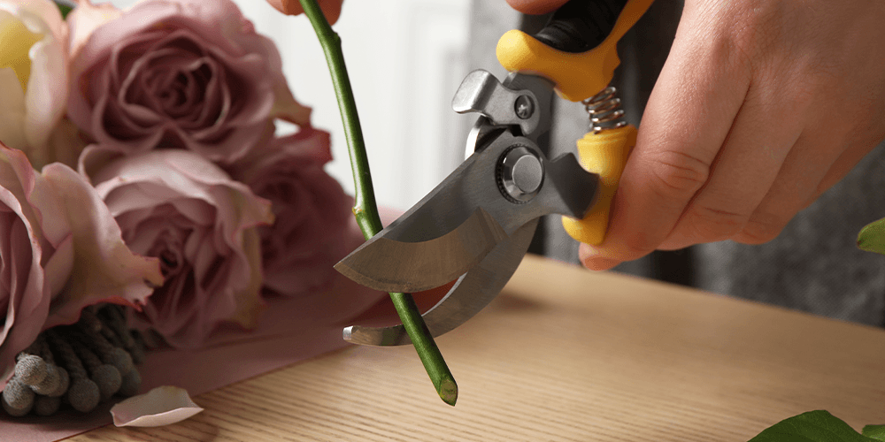 How To Cut Your Flower Stems Correctly Salisbury Greenhouse Blog