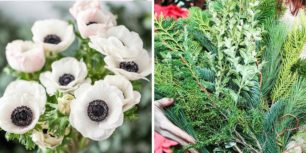 salisbury floral studio anoemone - evergreen