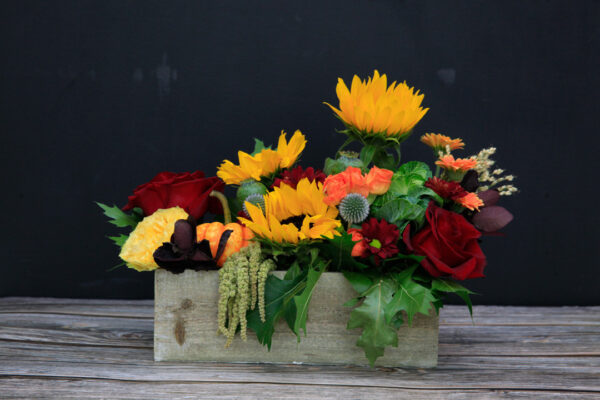 Salisbury Greenhouse Floral Studio Fall Thanksgiving Arrangement