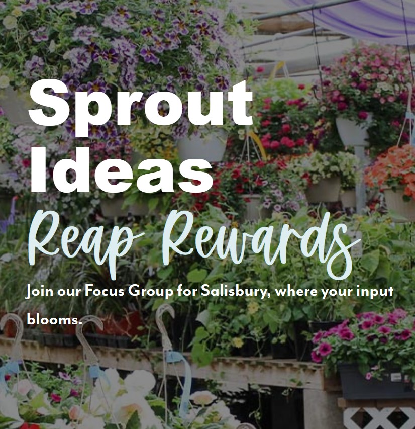 salisburyfocusgroup Salisbury Greenhouse