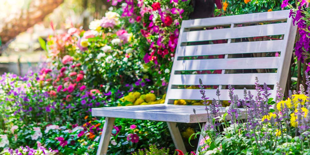 salisbury greenhouse-colourful flowers peaceful garden spot