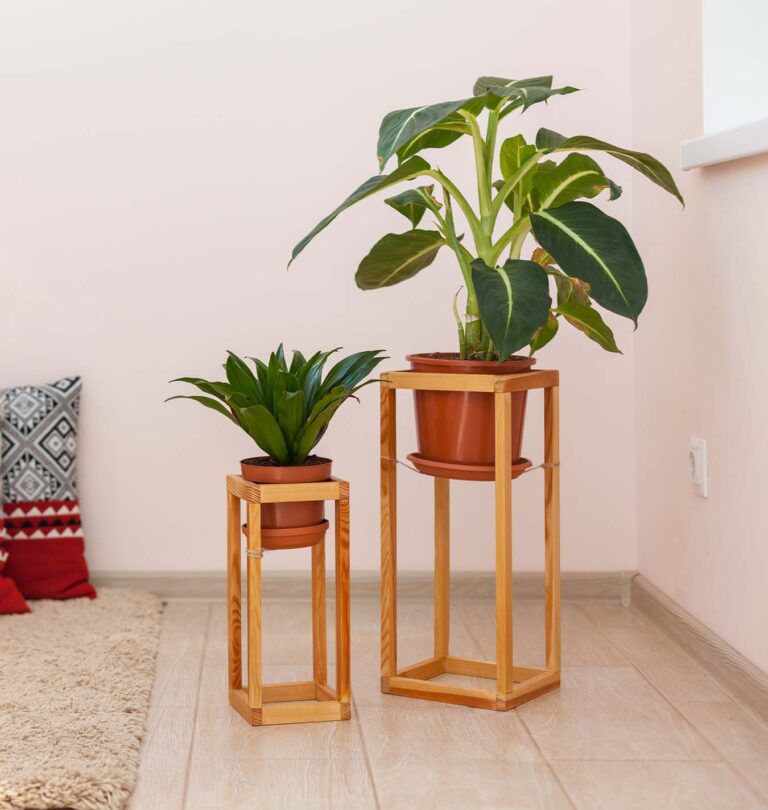 salisbury greenhouse diy plant stand for valentines day