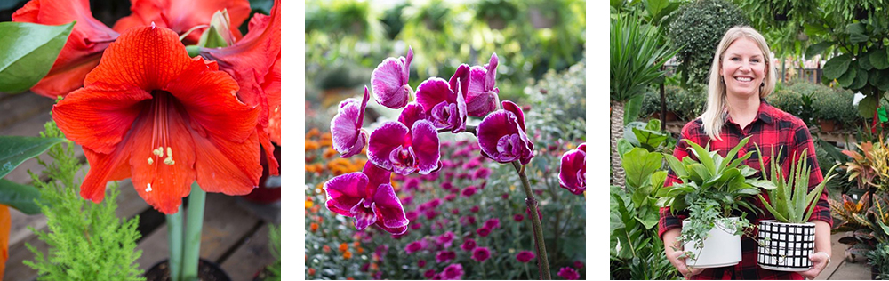 These Instagrams have got plant pics pinned down, and if you love fantastic flora, you won't have to look much further. That is, of course, unless you're not already following @salisburygreenhouse. Not to toot our own horn or anything, but not only will you see superb shots of our top-quality plants, you'll also see cute candids and customer features because we believe that the people are the best thing in our greenhouse!