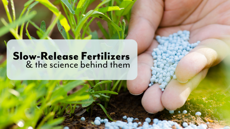 Slow-Release Fertilizer Applications The Science Behind Slow Release Fertilizers How They Work and Why They