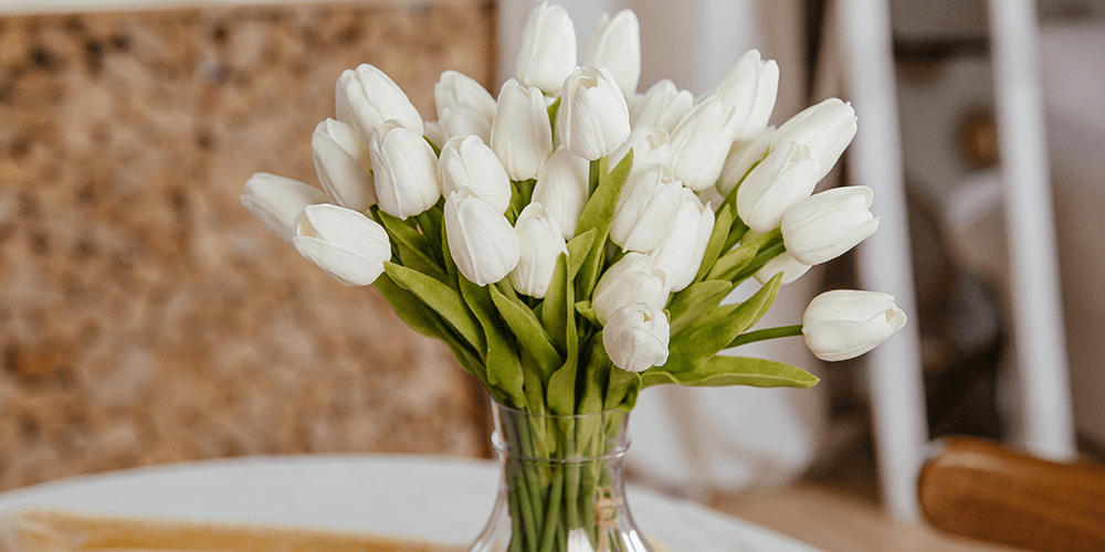 cut white tulips salisbury floral studio