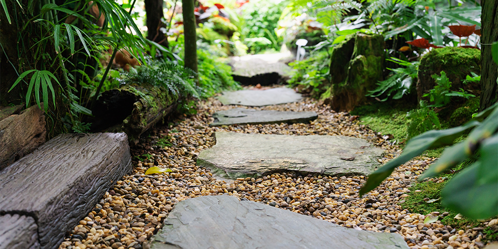 zen stone walkway through greenery